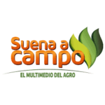 Suena Campo