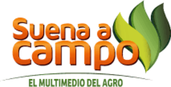 Suena Campo